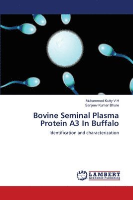 Bovine Seminal Plasma Protein A3 In Buffalo 1