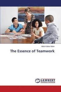 bokomslag The Essence of Teamwork