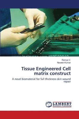 Tissue Engineered Cell matrix construct 1