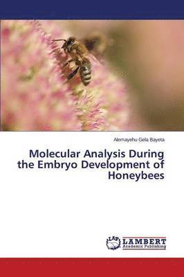 bokomslag Molecular Analysis During the Embryo Development of Honeybees