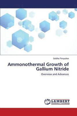 bokomslag Ammonothermal Growth of Gallium Nitride