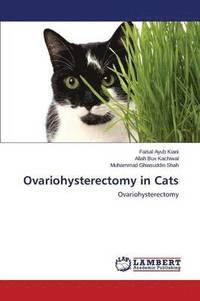 bokomslag Ovariohysterectomy in Cats