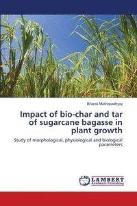 bokomslag Impact of bio-char and tar of sugarcane bagasse in plant growth