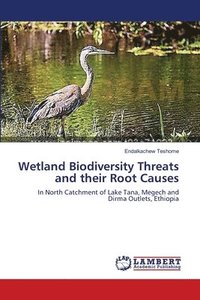 bokomslag Wetland Biodiversity Threats and their Root Causes