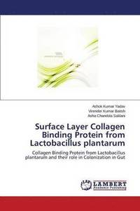 bokomslag Surface Layer Collagen Binding Protein from Lactobacillus Plantarum