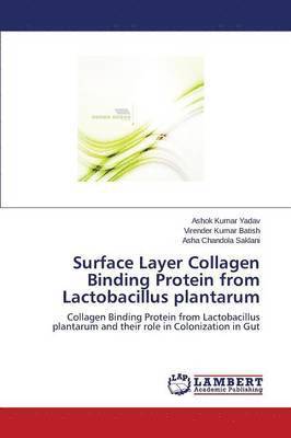 Surface Layer Collagen Binding Protein from Lactobacillus Plantarum 1