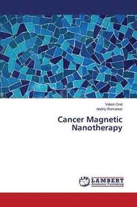 bokomslag Cancer Magnetic Nanotherapy