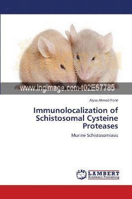 Immunolocalization of Schistosomal Cysteine Proteases 1