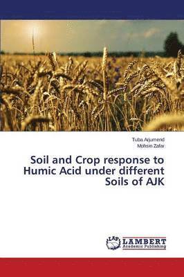 Soil and Crop Response to Humic Acid Under Different Soils of Ajk 1