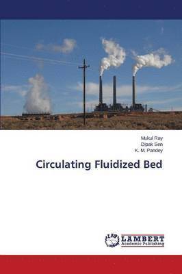 Circulating Fluidized Bed 1