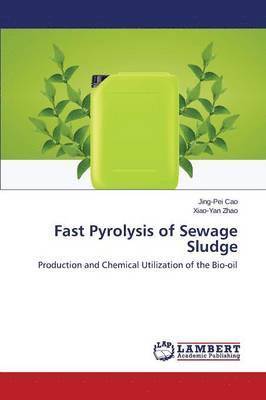 bokomslag Fast Pyrolysis of Sewage Sludge