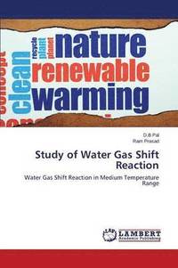 bokomslag Study of Water Gas Shift Reaction