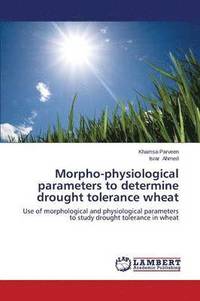 bokomslag Morpho-Physiological Parameters to Determine Drought Tolerance Wheat