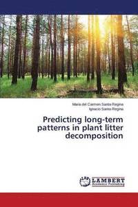 bokomslag Predicting Long-Term Patterns in Plant Litter Decomposition