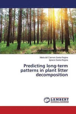 Predicting Long-Term Patterns in Plant Litter Decomposition 1