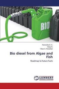 bokomslag Bio diesel from Algae and Fish