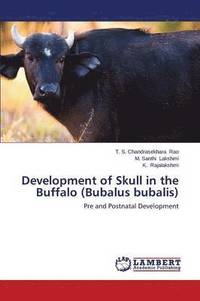 bokomslag Development of Skull in the Buffalo (Bubalus bubalis)
