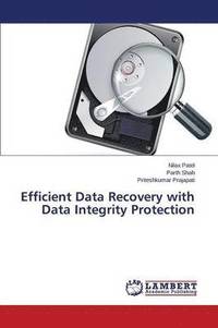 bokomslag Efficient Data Recovery with Data Integrity Protection