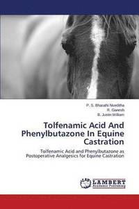 bokomslag Tolfenamic Acid and Phenylbutazone in Equine Castration