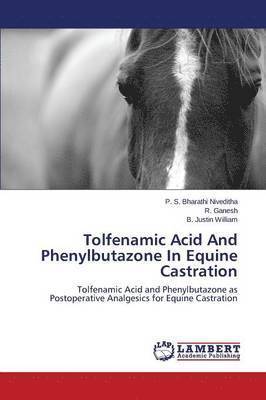 Tolfenamic Acid and Phenylbutazone in Equine Castration 1