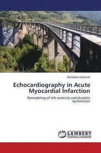 bokomslag Echocardiography in Acute Myocardial Infarction