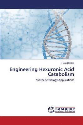 Engineering Hexuronic Acid Catabolism 1