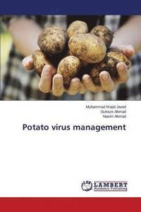bokomslag Potato Virus Management