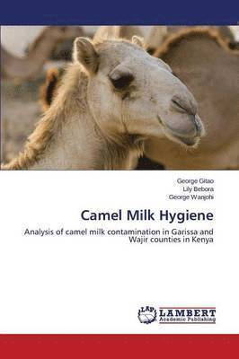Camel Milk Hygiene 1