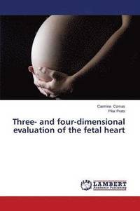 bokomslag Three- and four-dimensional evaluation of the fetal heart
