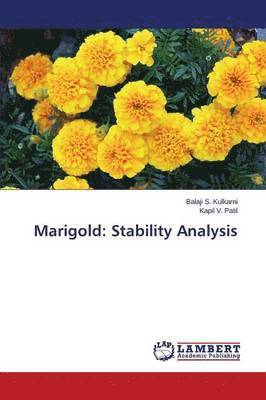 Marigold 1