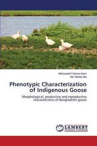 bokomslag Phenotypic Characterization of Indigenous Goose