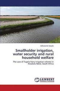 bokomslag Smallholder Irrigation, Water Security and Rural Household Welfare