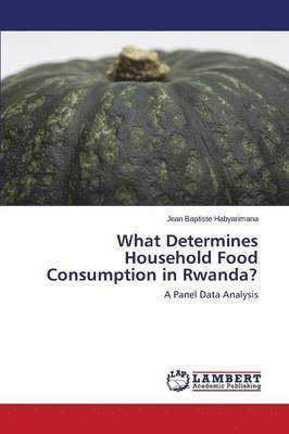 bokomslag What Determines Household Food Consumption in Rwanda?