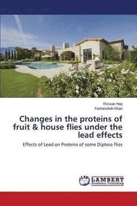 bokomslag Changes in the Proteins of Fruit & House Flies Under the Lead Effects