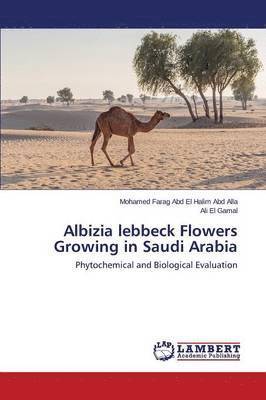 Albizia lebbeck Flowers Growing in Saudi Arabia 1