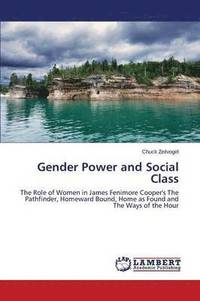 bokomslag Gender Power and Social Class