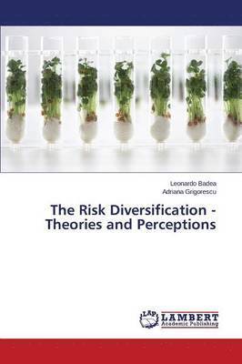 bokomslag The Risk Diversification - Theories and Perceptions