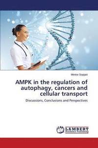 bokomslag Ampk in the Regulation of Autophagy, Cancers and Cellular Transport