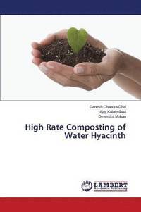 bokomslag High Rate Composting of Water Hyacinth