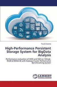 bokomslag High-Performance Persistent Storage System for BigData Analysis