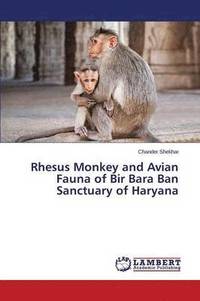 bokomslag Rhesus Monkey and Avian Fauna of Bir Bara Ban Sanctuary of Haryana