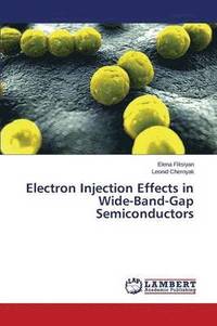 bokomslag Electron Injection Effects in Wide-Band-Gap Semiconductors