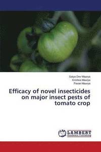 bokomslag Efficacy of Novel Insecticides on Major Insect Pests of Tomato Crop