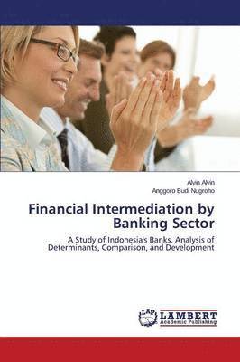 bokomslag Financial Intermediation by Banking Sector