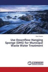 bokomslag Use Downflow Hanging Sponge (DHS) for Municipal Waste Water Treatment