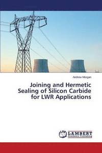 bokomslag Joining and Hermetic Sealing of Silicon Carbide for Lwr Applications