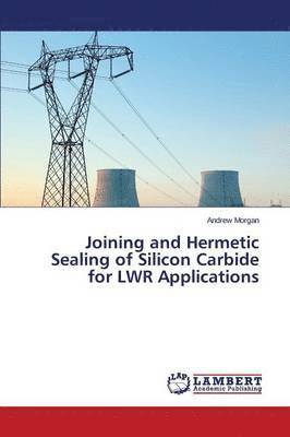 Joining and Hermetic Sealing of Silicon Carbide for Lwr Applications 1