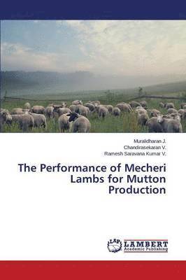 bokomslag The Performance of Mecheri Lambs for Mutton Production