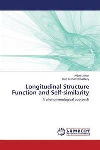 bokomslag Longitudinal Structure Function and Self-similarity