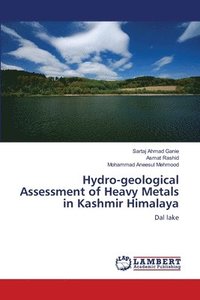 bokomslag Hydro-geological Assessment of Heavy Metals in Kashmir Himalaya